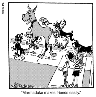 marmaduke